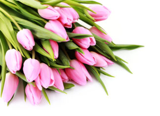 Привітання до Міжнародного Дня медичної сестри