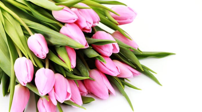 Привітання до Міжнародного Дня медичної сестри