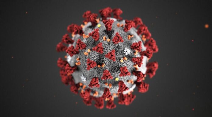 Кількість госпіталізованих з COVID-19 в установах НАМН України станом на 13.05.2021 р.