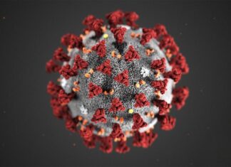 Кількість госпіталізованих з COVID-19 в установах НАМН України станом на 02.06.2021 р.