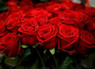 Вітаємо ЧАЙКОВСЬКОГО Юрія Богдановича з ювілеєм!