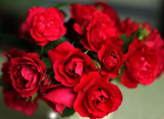 Вітаємо Гулу Надію Максимівну з ювілеєм!