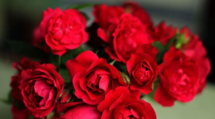 Вітаємо Гулу Надію Максимівну з ювілеєм!