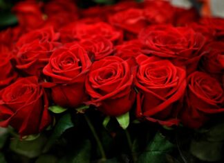 Вітаємо з ювілеєм КОРДЮМА Віталія Арнольдовича