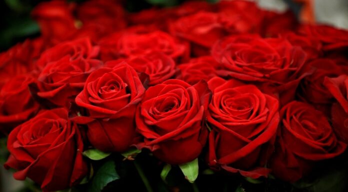 Вітаємо з ювілеєм КОРДЮМА Віталія Арнольдовича