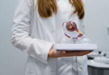 Імплементація Європейських рекомендацій по діагностиці та лікуванню глаукоми в клінічну практику офтальмолога – реальний крок у боротьбі з глаукомою в Україні