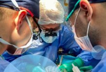 Трансплантація. Відповіді на головні питання. II частина