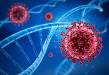 Відстеження варіантів SARS-COV-2 за допомогою нанопорового секвенування в Україні влітку 2021 року