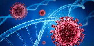 Відстеження варіантів SARS-COV-2 за допомогою нанопорового секвенування в Україні влітку 2021 року