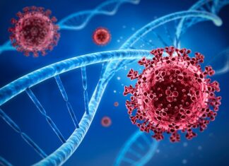 Відстеження варіантів SARS-COV-2 за допомогою нанопорового секвенування в Україні влітку 2021 року