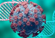 Поширеність маркерів інфікування SARS-CoV-2 серед мешканців Київської області на початку епідемії COVID-19 – результати першого в Україні сероепідеміологічного дослідження