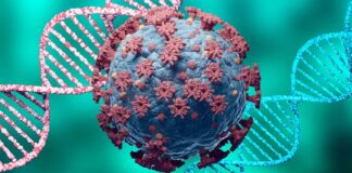 Поширеність маркерів інфікування SARS-CoV-2 серед мешканців Київської області на початку епідемії COVID-19 – результати першого в Україні сероепідеміологічного дослідження