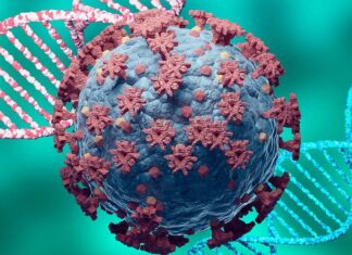 Поширеність маркерів інфікування SARS-CoV-2 серед мешканців Київської області на початку епідемії COVID-19 – результати першого в Україні сероепідеміологічного дослідження