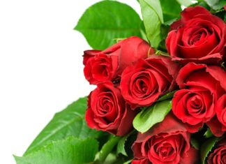 Вітаємо з Днем народження Біловола Олександра Миколайовича