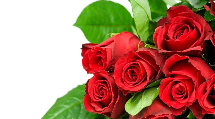 Вітаємо з Днем народження Біловола Олександра Миколайовича