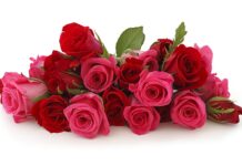 Вітаємо Возіанову Жанну Іванівну з Днем народження!