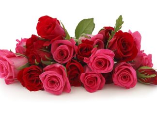 Вітаємо Возіанову Жанну Іванівну з Днем народження!