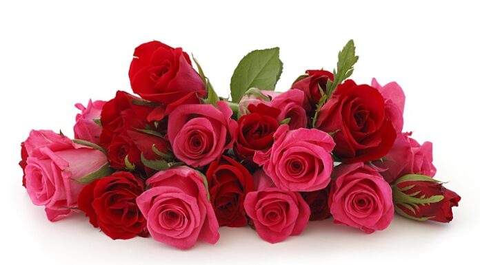 Вітаємо Возіанову Жанну Іванівну з Днем народження!