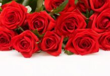 Вітаємо Бойка Валерія Володимировича з ювілеєм!