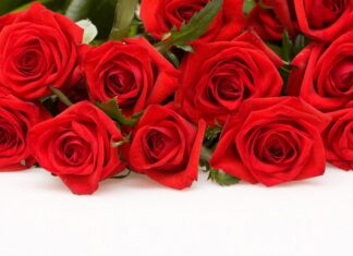 Вітаємо Бойка Валерія Володимировича з ювілеєм!