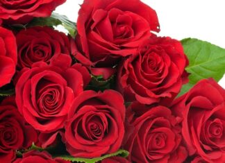 Вітаємо Мороза Василя Максимовича з ювілеєм!