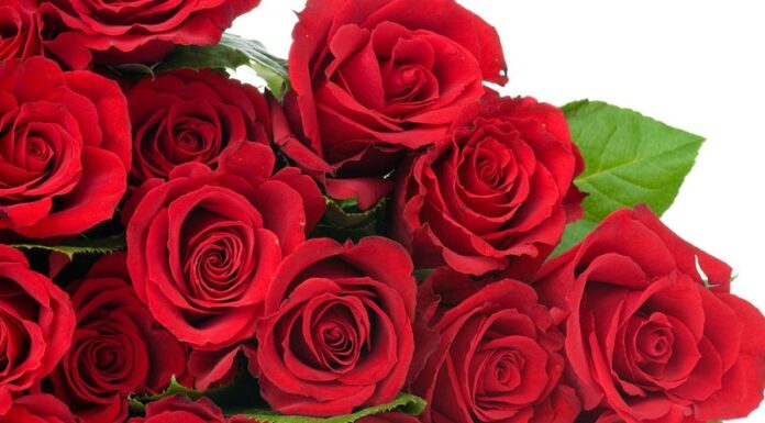 Вітаємо Мороза Василя Максимовича з ювілеєм!