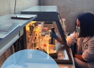 Підсумки роботи групи імунології та типування тканин ДУ “Національний інститут хірургії та трансплантології імені О.О.Шалімова НАМН України”