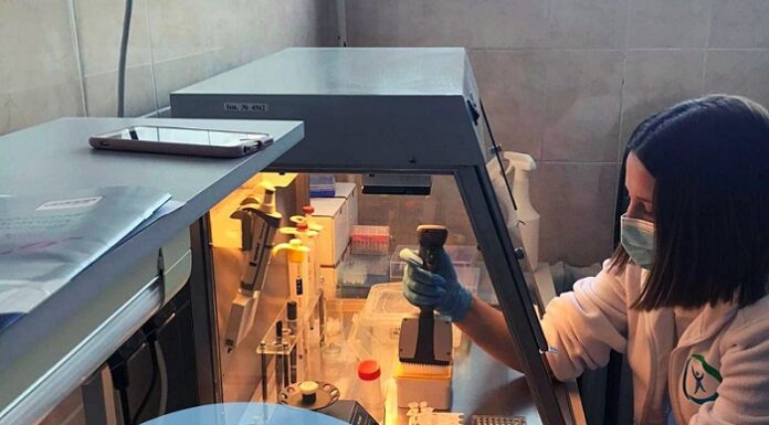 Підсумки роботи групи імунології та типування тканин ДУ “Національний інститут хірургії та трансплантології імені О.О.Шалімова НАМН України”