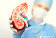 День нефролога