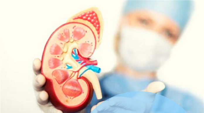 День нефролога