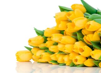 Привітання до Міжнародного жіночого дня