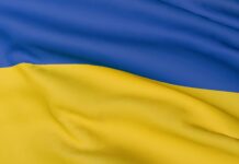 Швейцарський національний науковий фонд (SNSF) рішуче засуджує вторгнення Росії в Україну та підтримуватиме дослідників, які постраждали від війни. The Swiss National Science Foundation (SNSF) strongly condemns the Russian invasion of Ukraine and will support researchers affected by the war.