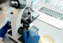 Мавпяча віспа