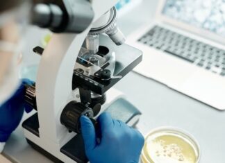 Мавпяча віспа