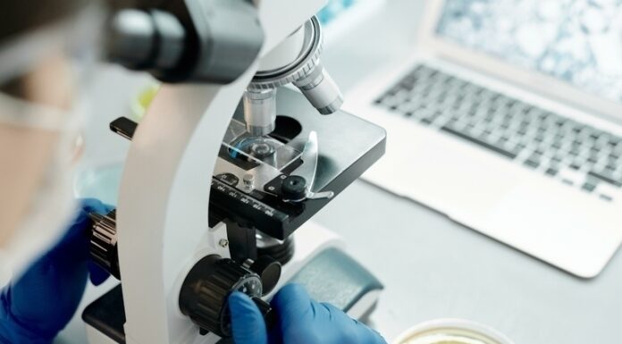 Мавпяча віспа