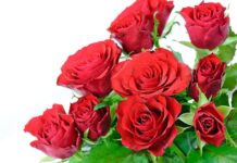 Вітаємо з ювілеєм Філіппова Юрія Олександровича