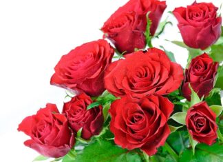 Вітаємо з ювілеєм Філіппова Юрія Олександровича