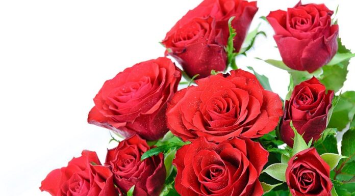 Вітаємо з ювілеєм Філіппова Юрія Олександровича