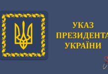 Указ Президента України № 419/2022 “Про відзначення державними нагородами України”