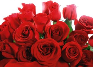 Вітаємо з ювілеєм Чернія Володимира Ілліча