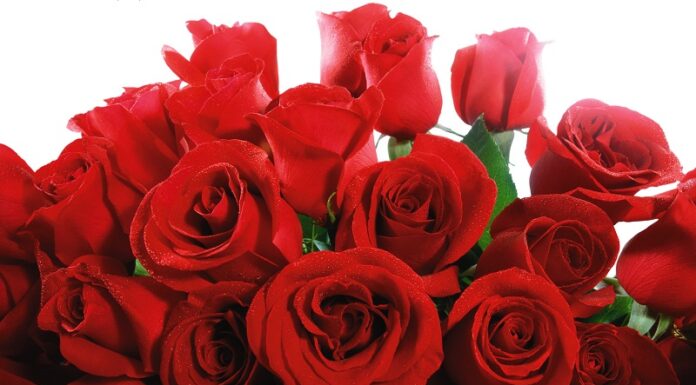 Вітаємо з ювілеєм Дячука Дмитра Дмитровича!