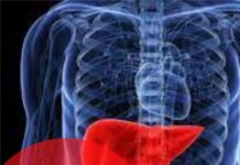 Увага! Ехінококоз печінки