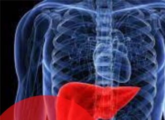 Увага! Ехінококоз печінки