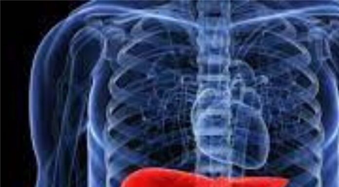 Увага! Ехінококоз печінки