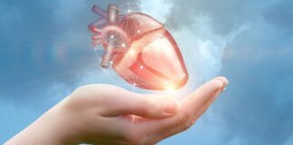 Консультативна медична допомога мешканцям Київської області до Всесвітнього дня серця
