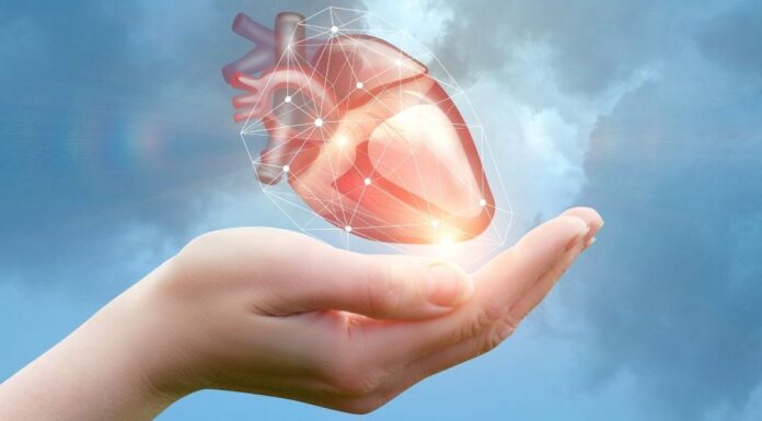 Консультативна медична допомога мешканцям Київської області до Всесвітнього дня серця