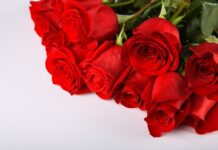 Вітаємо з ювілеєм Басанець Анжелу Володимирівну