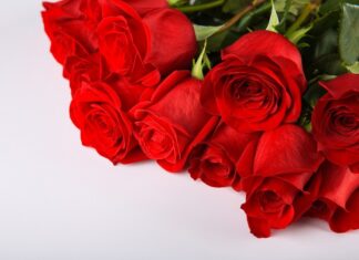 Президія НАМН України сердечно вітає Андрія Михайловича Сердюка з ювілеєм!