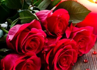 Вітаємо з ювілеєм Польку Надію Степанівну