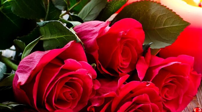 Вітаємо з ювілеєм Польку Надію Степанівну